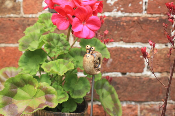 Snail Plant Pot Buddy