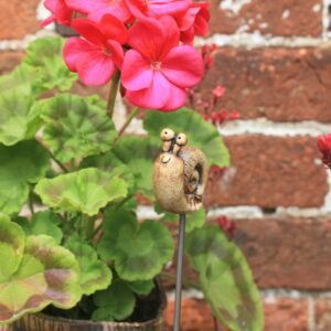 Snail Plant Pot Buddy
