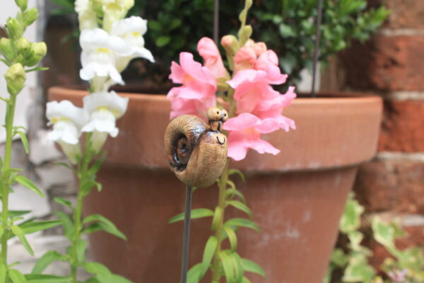 Snail Plant Pot Buddy - Image 3