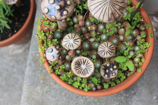 Miniature Fairy Garden Mushrooms - Image 3