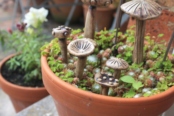 Miniature Fairy Garden Mushrooms