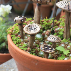 Miniature Fairy Garden Mushrooms