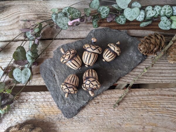Acorns - Image 2