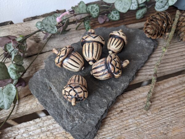 Acorns - Image 3