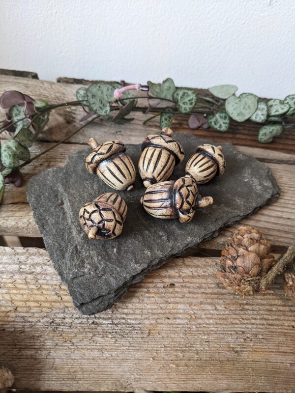 Acorns