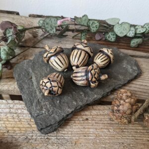 Acorns