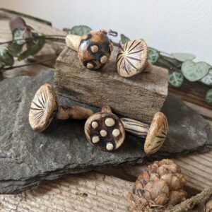 Miniature Mushrooms