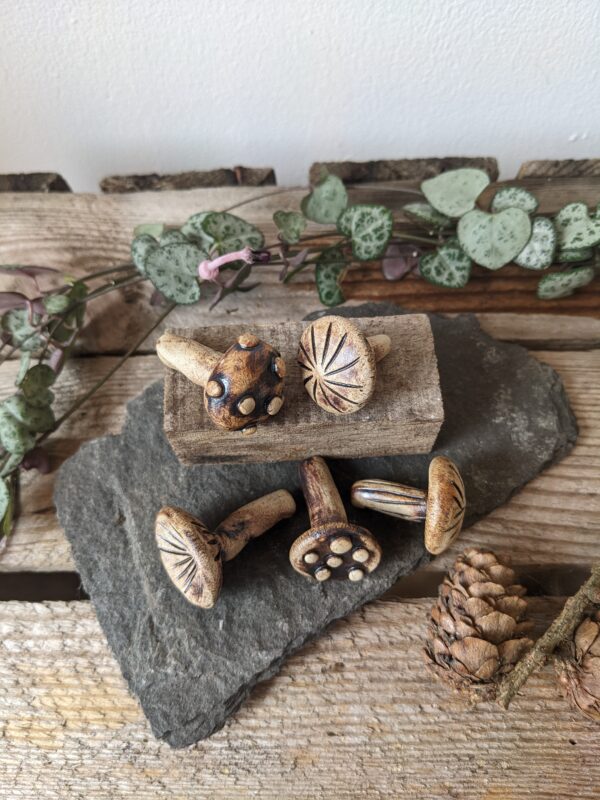 Miniature Mushrooms - Image 4