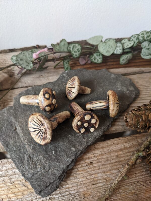 Miniature Mushrooms - Image 3