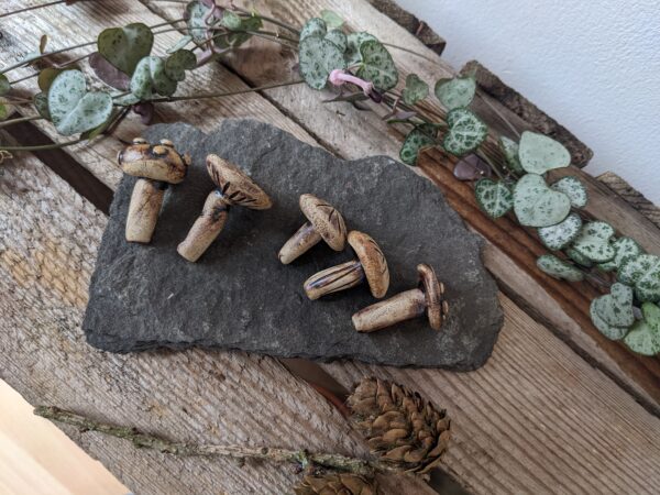 Miniature Mushrooms - Image 2