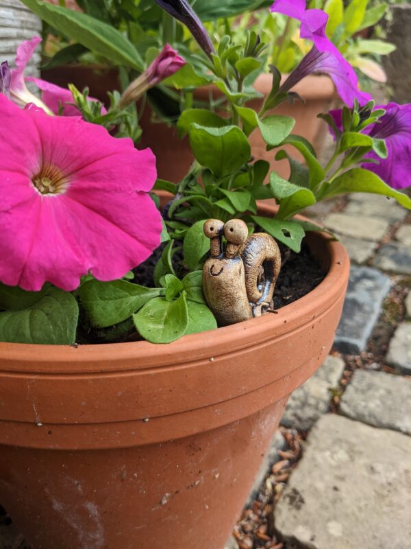 Snail Buddy - Image 4