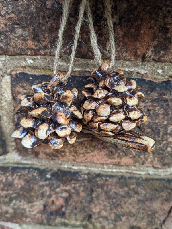 Hanging Pinecones