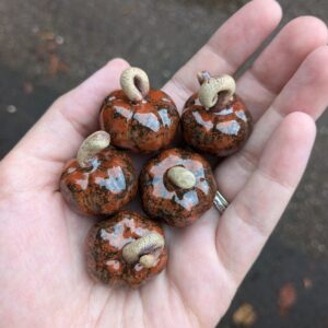 Pumpkins! (Pumpkin Spice)