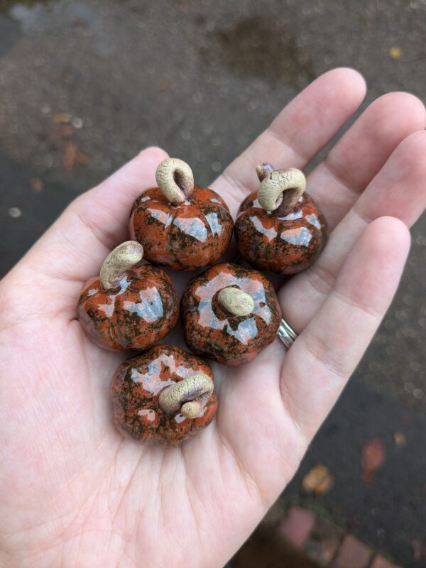 Pumpkins! (Pumpkin Spice)