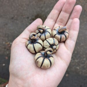 Pumpkins!