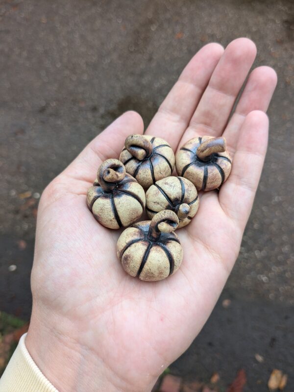 Pumpkins!