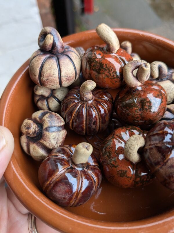 Pumpkins! - Image 2